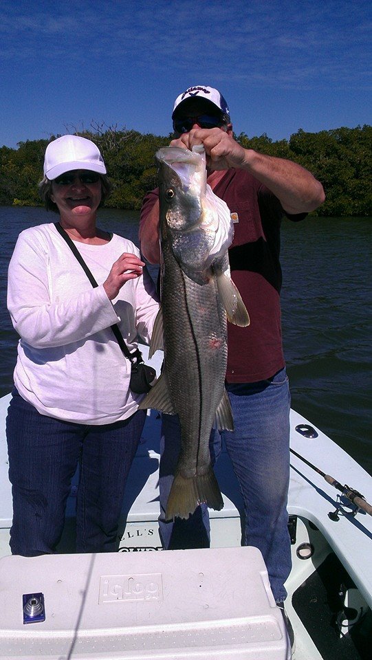 Snook fish caught in FL
