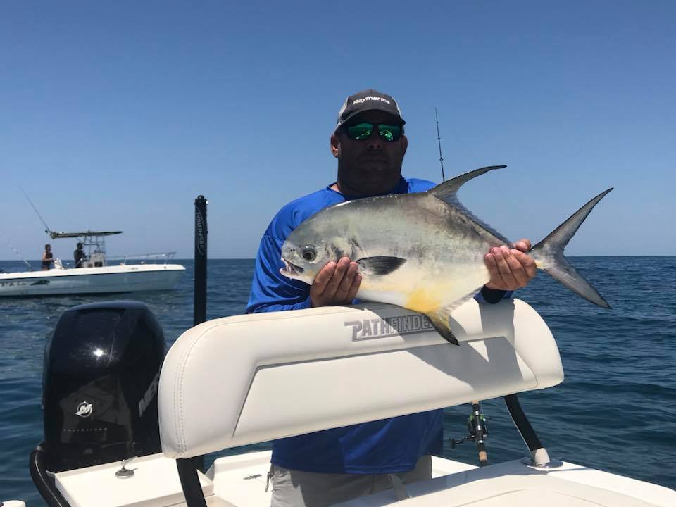 Permit fish caught by angler in St. Petersburg