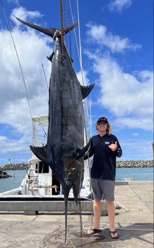 Large blue marlin caught fishing in Kailua-Kona Hawaii displayed on dock