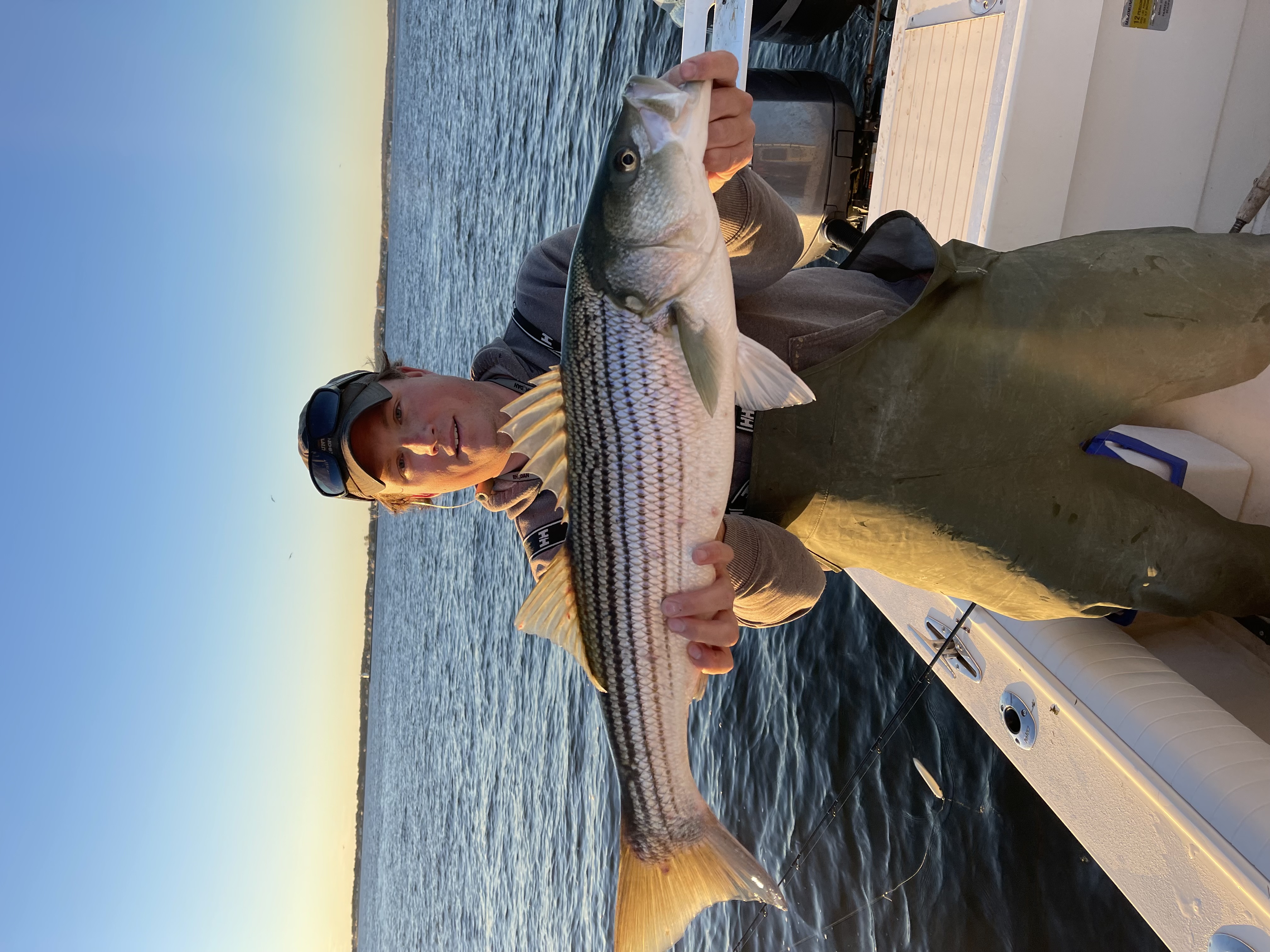 Striped bass fishing in CT