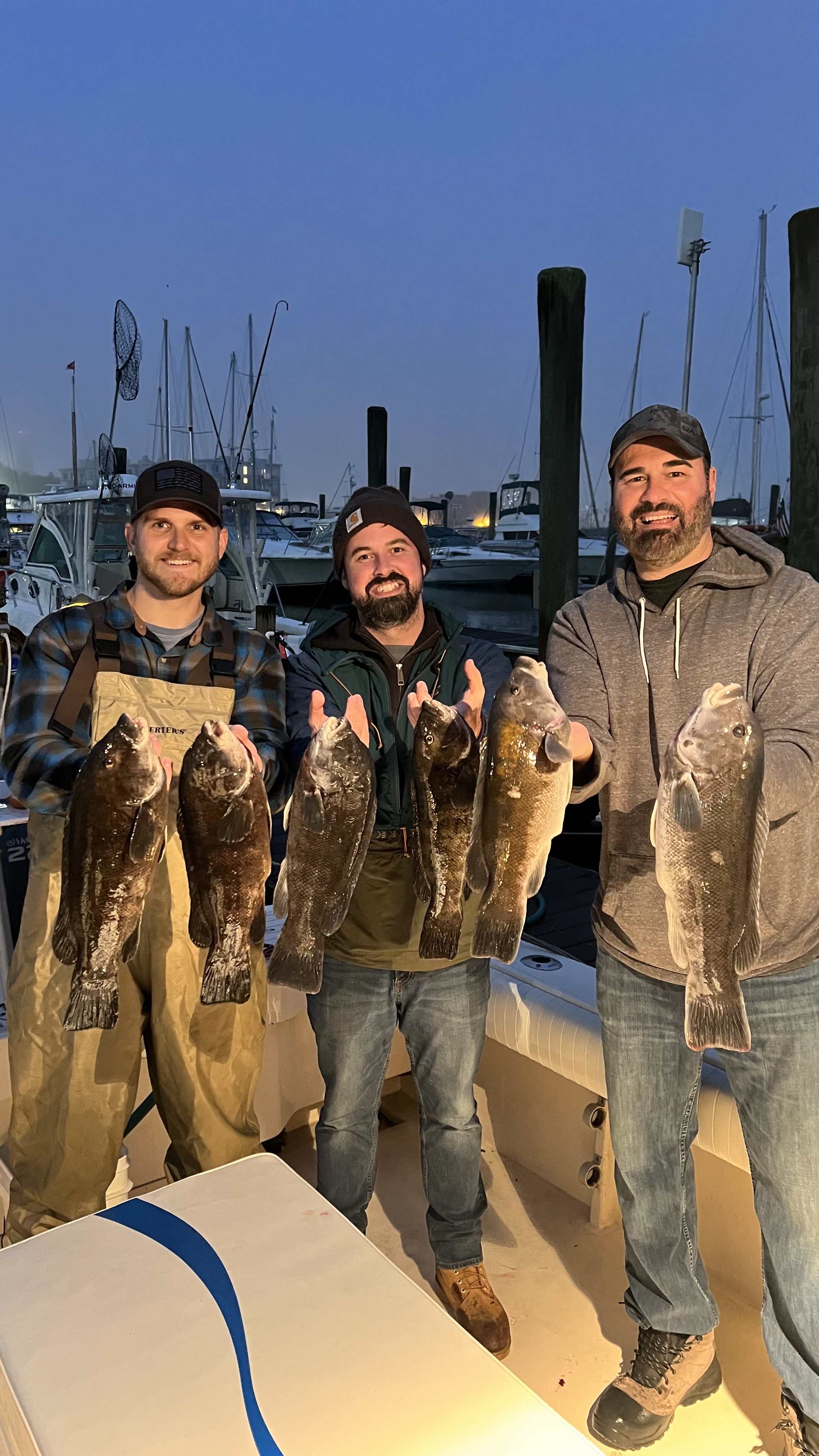 5 tautog fish caught while fishing in CT