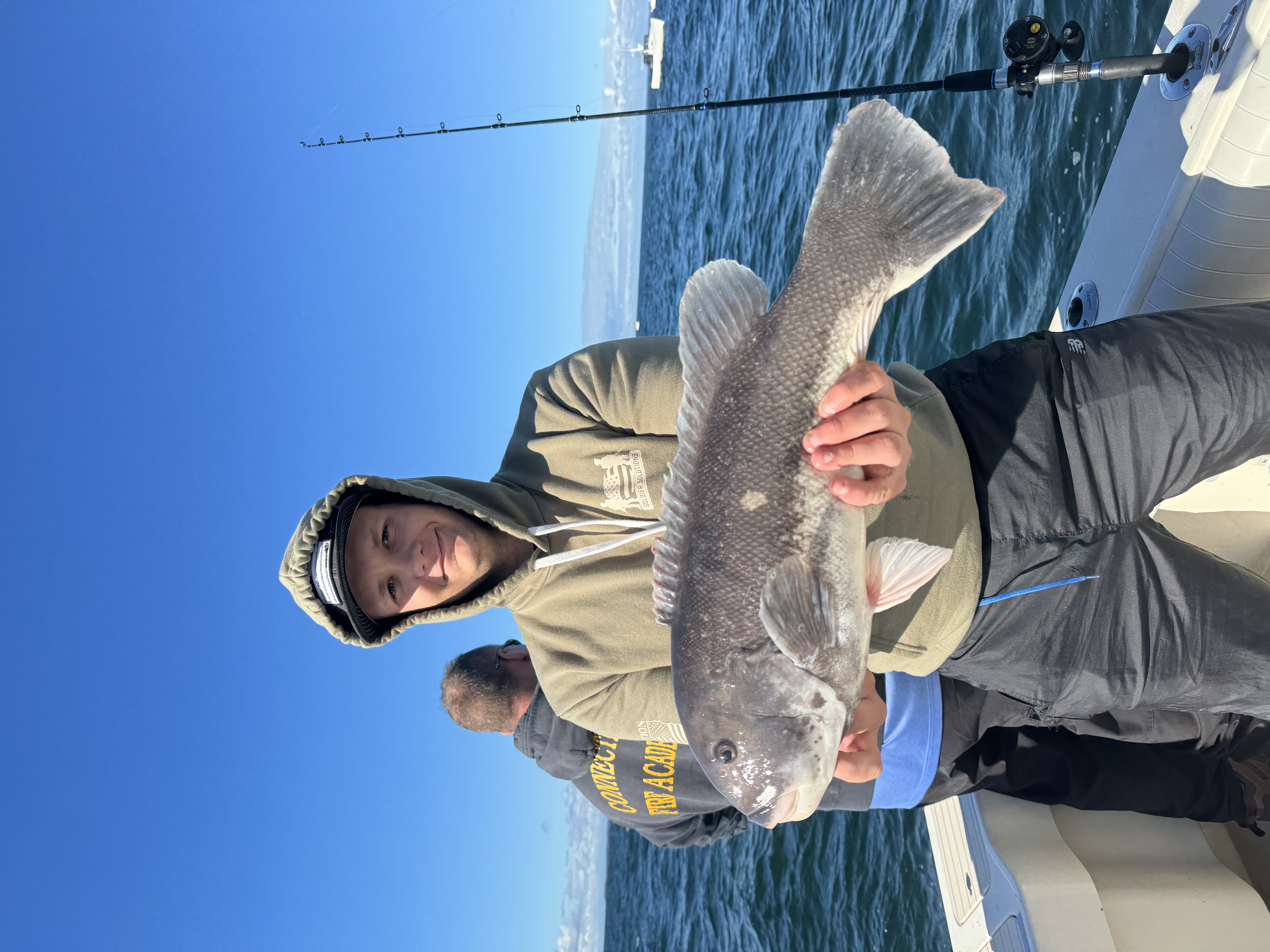 A lone Tautog fish caught while fishing in CT