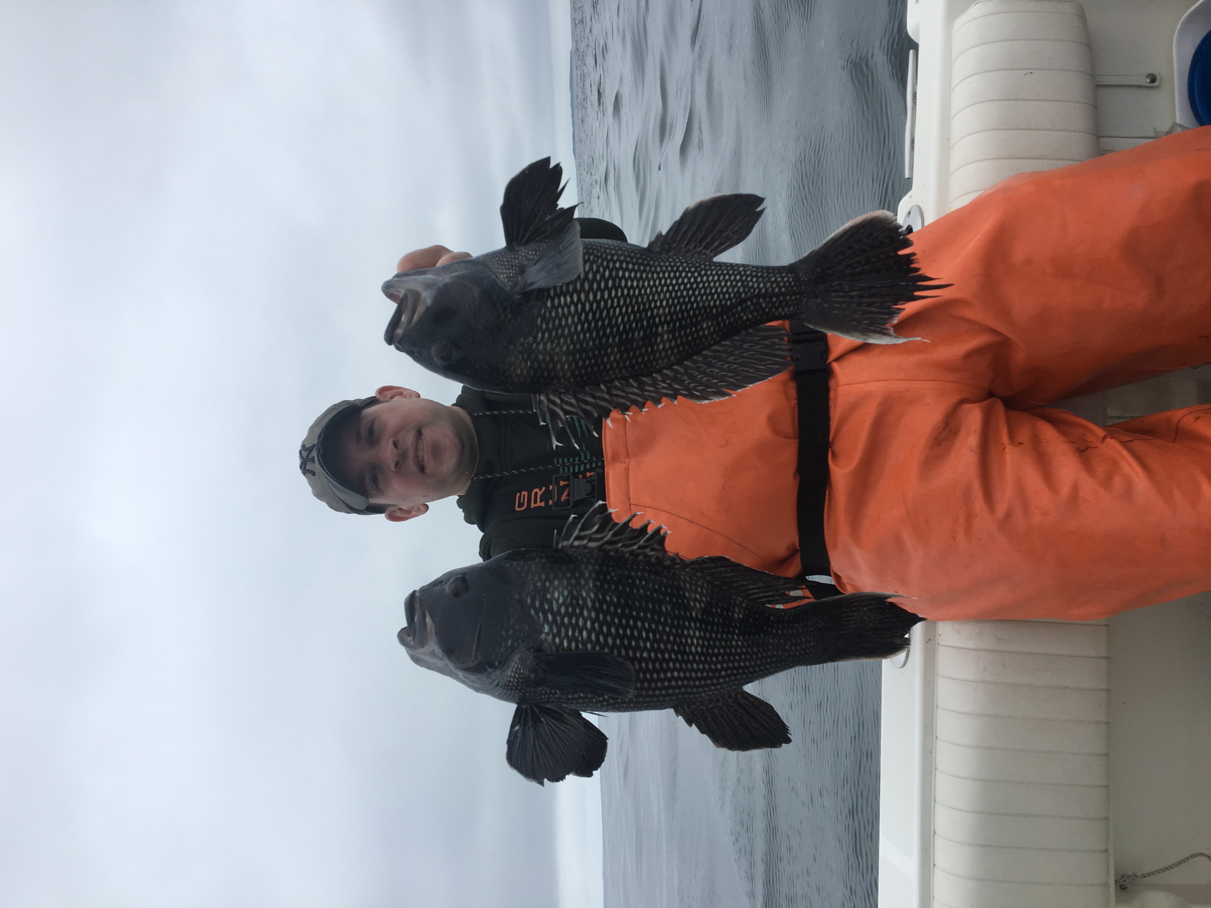 Two sea bass, 24 inches long, caught fishing in New London