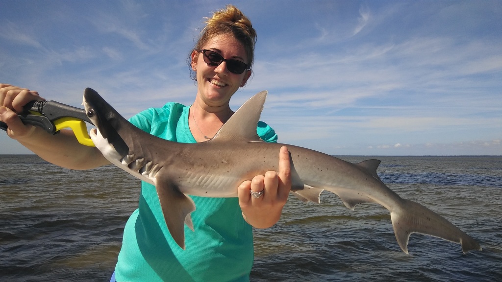 Shark Fishing in Tampa Bay