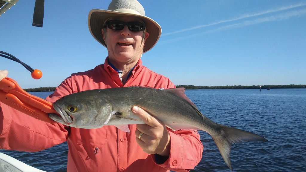 Inshore Fishing for Saltwater Fish Species