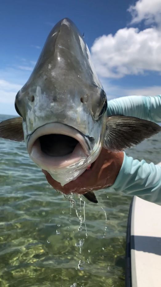 Fishing in FL