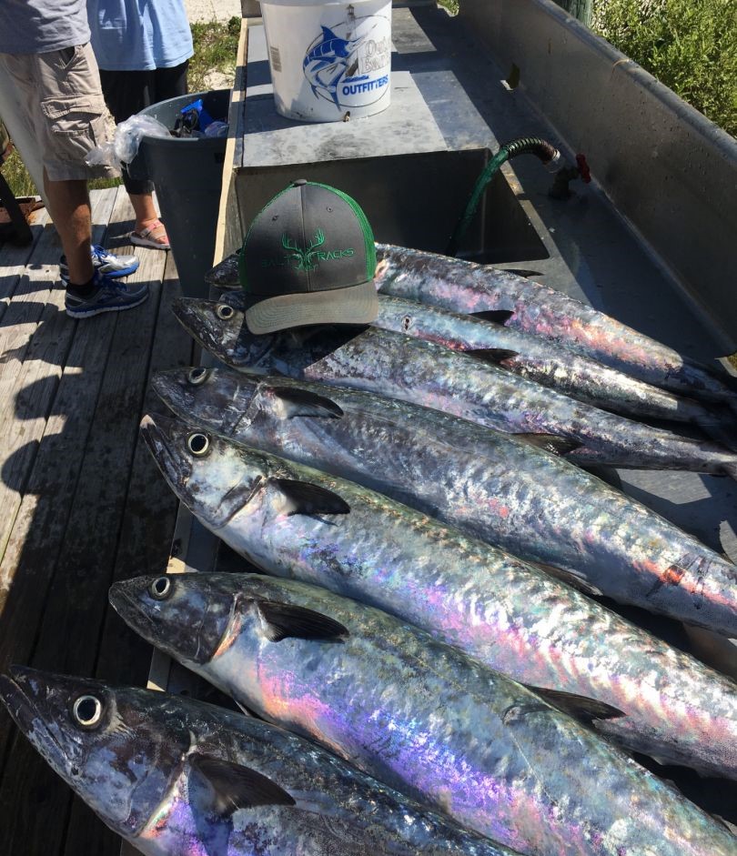 2 fish caught in FL while fishing