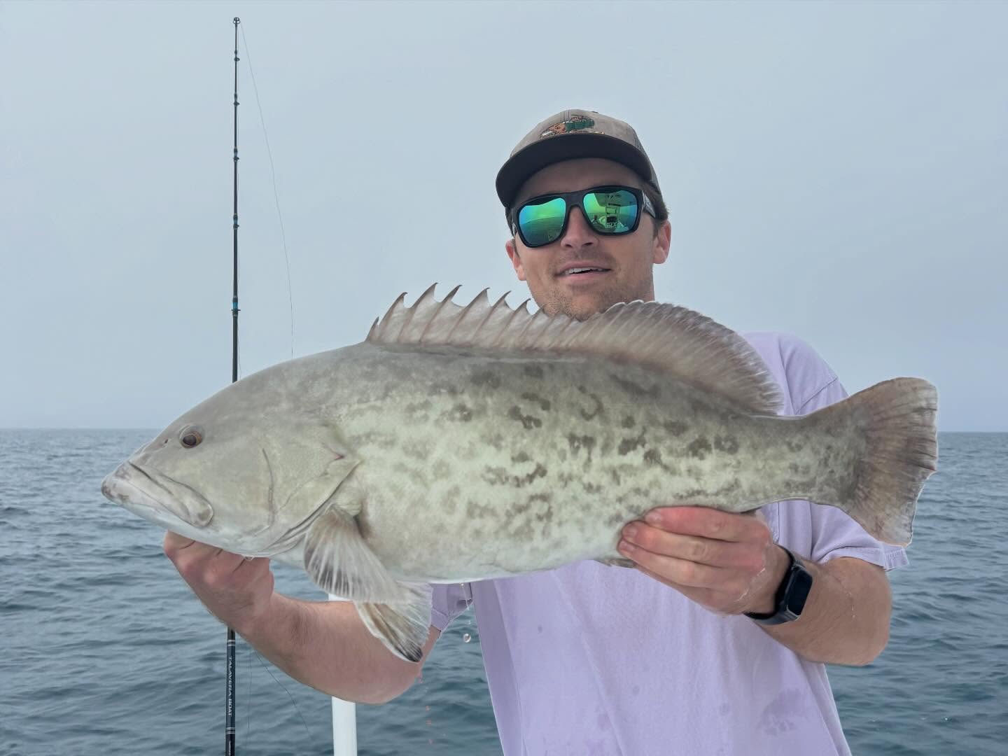 Gag grouper catch displayed on fishing boat in Virginia Beach VA