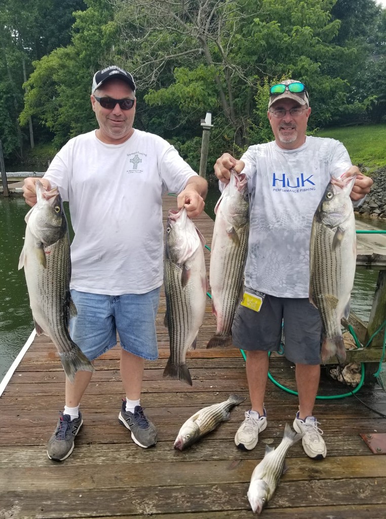 5 striped bass caught fishing in VA