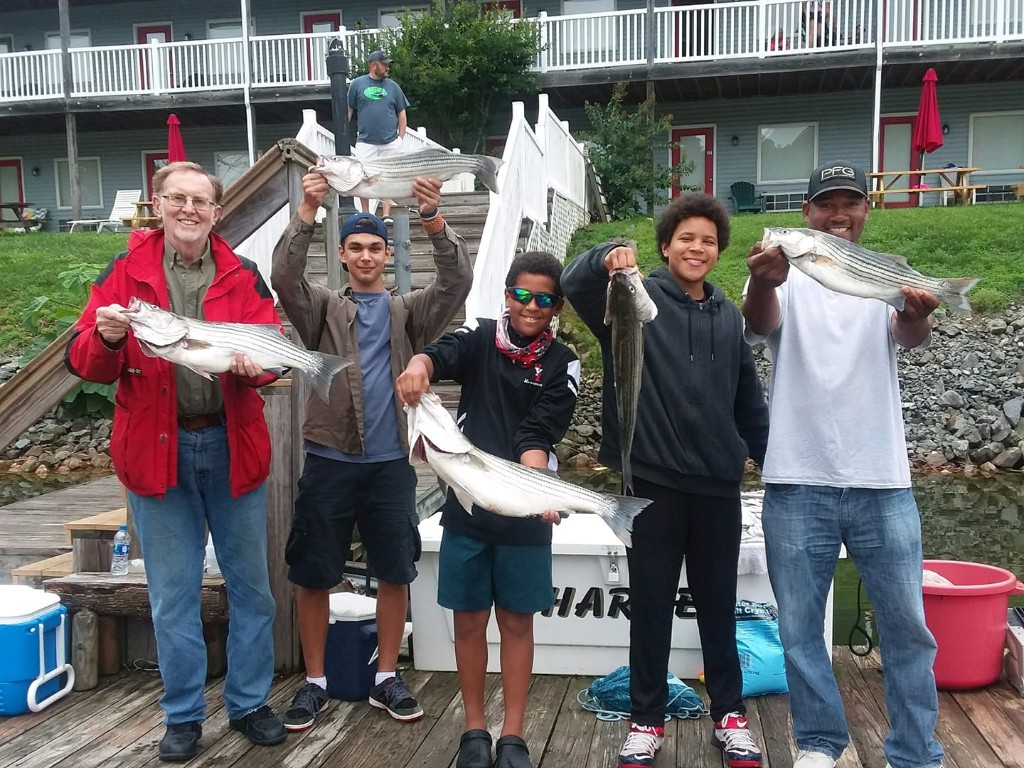 Three striped bass caught while fishing in Hardy