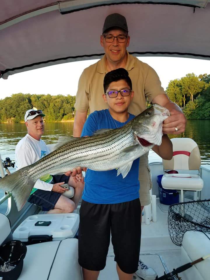 Striped bass fishing in Hardy