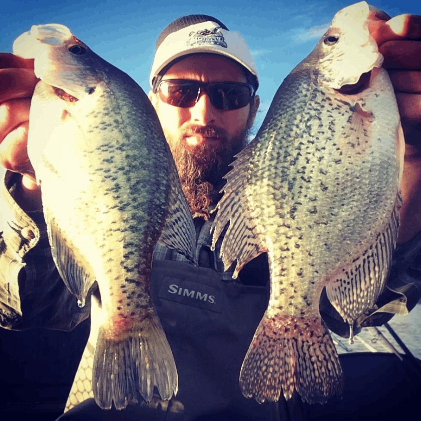 Two crappie fish caught in CO