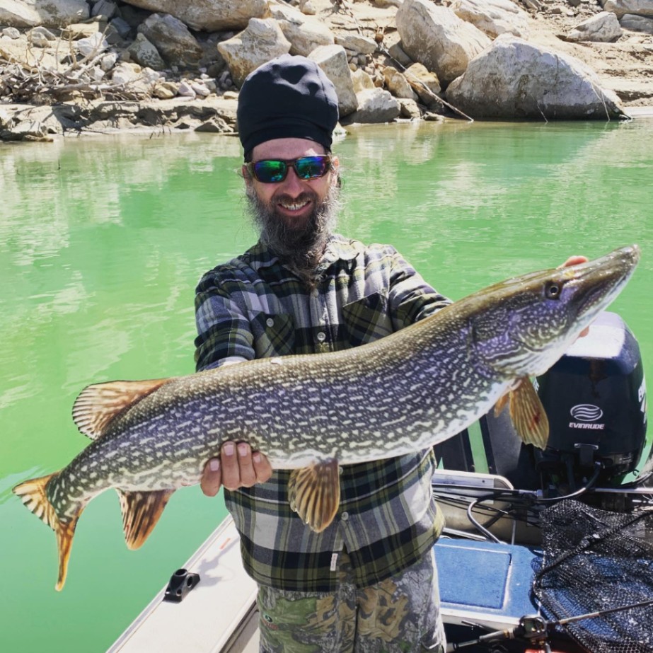 Catch of the day: a big Northern Pike fish caught while fishing in Arboles