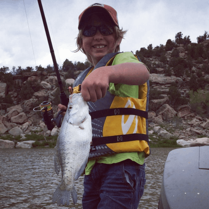 White crappie fish caught while fishing in CO