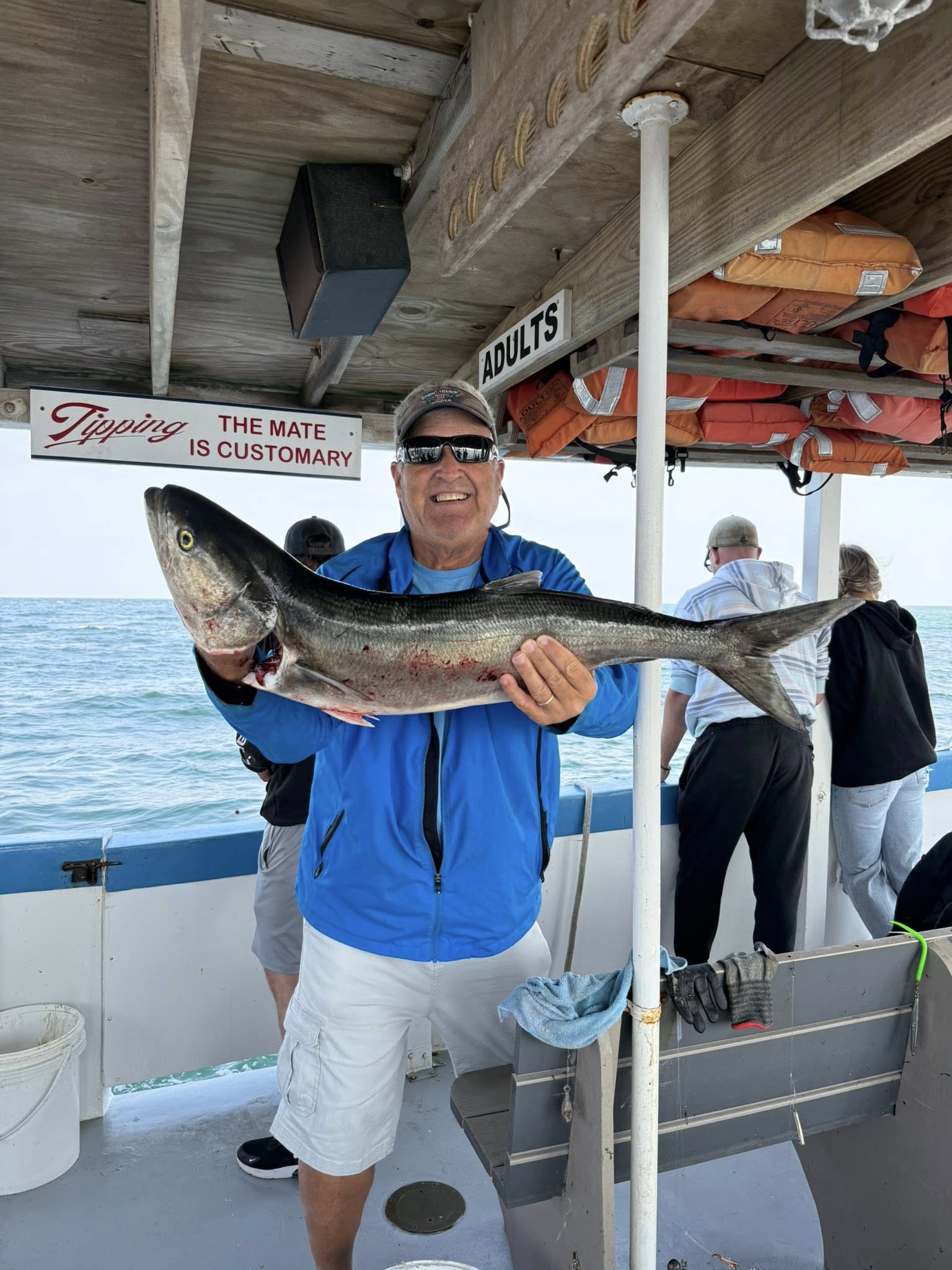 Cobia fishing in MA