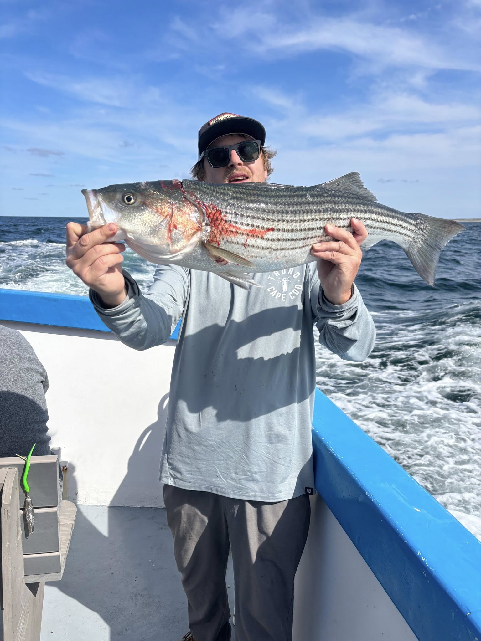 Striped bass caught while fishing in MA