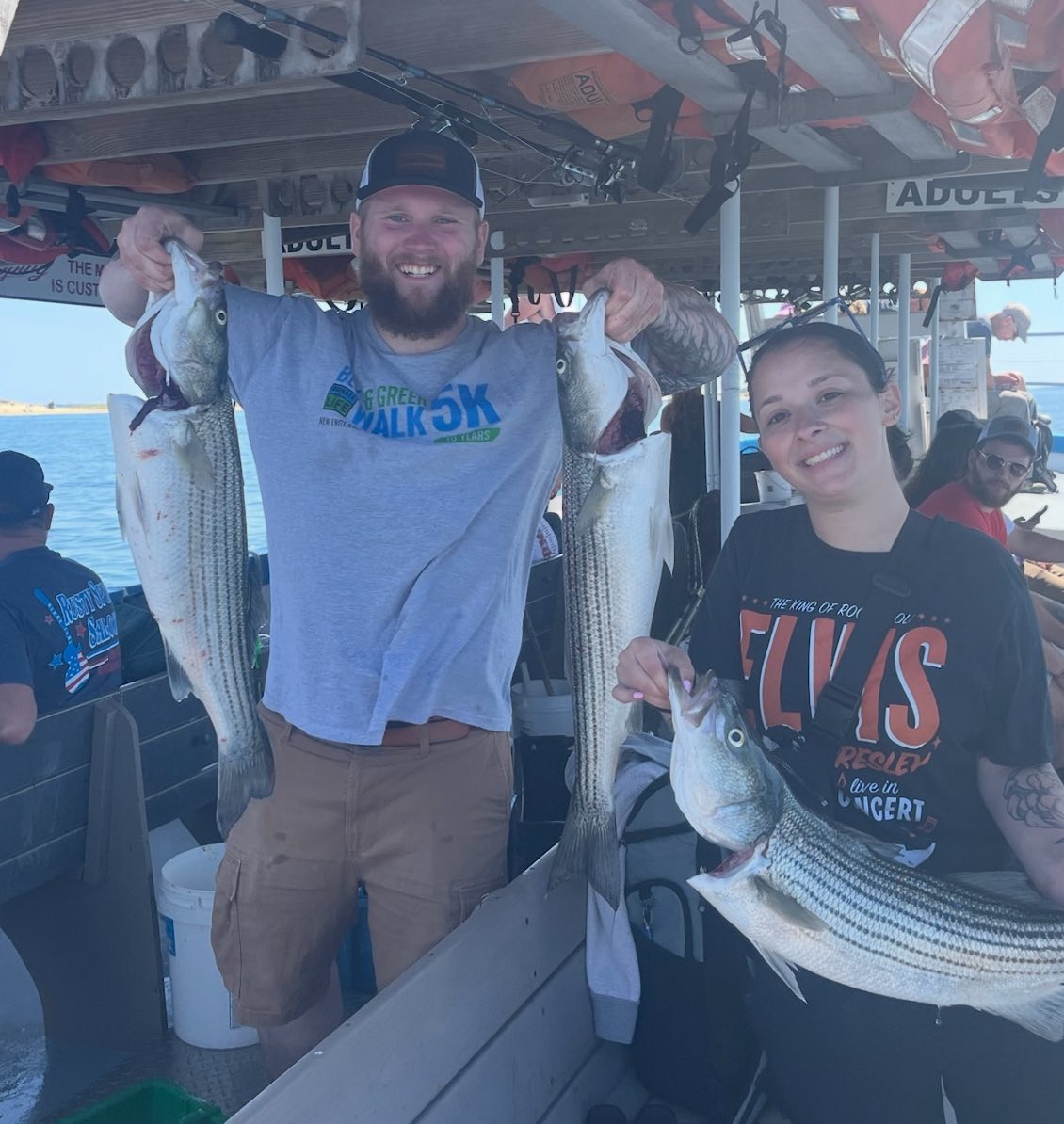 Three striped bass caught in Provincetown