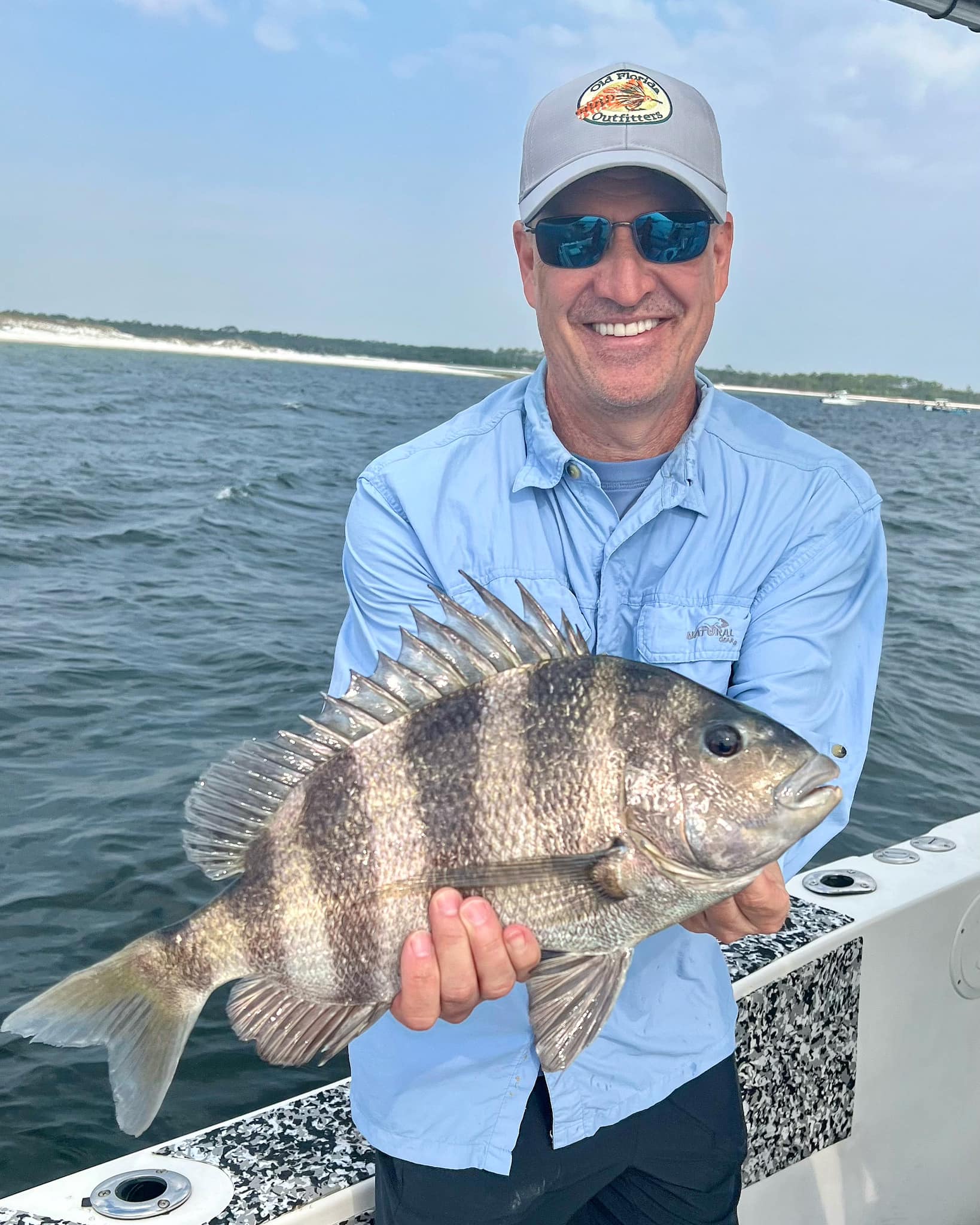 Sheepshead fish caught while fishing in FL