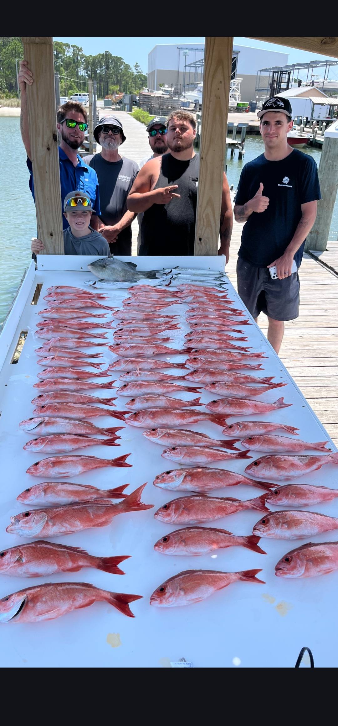 Large catch of red snapper displayed on cleaning table at Gulf Shores AL fishing dock
