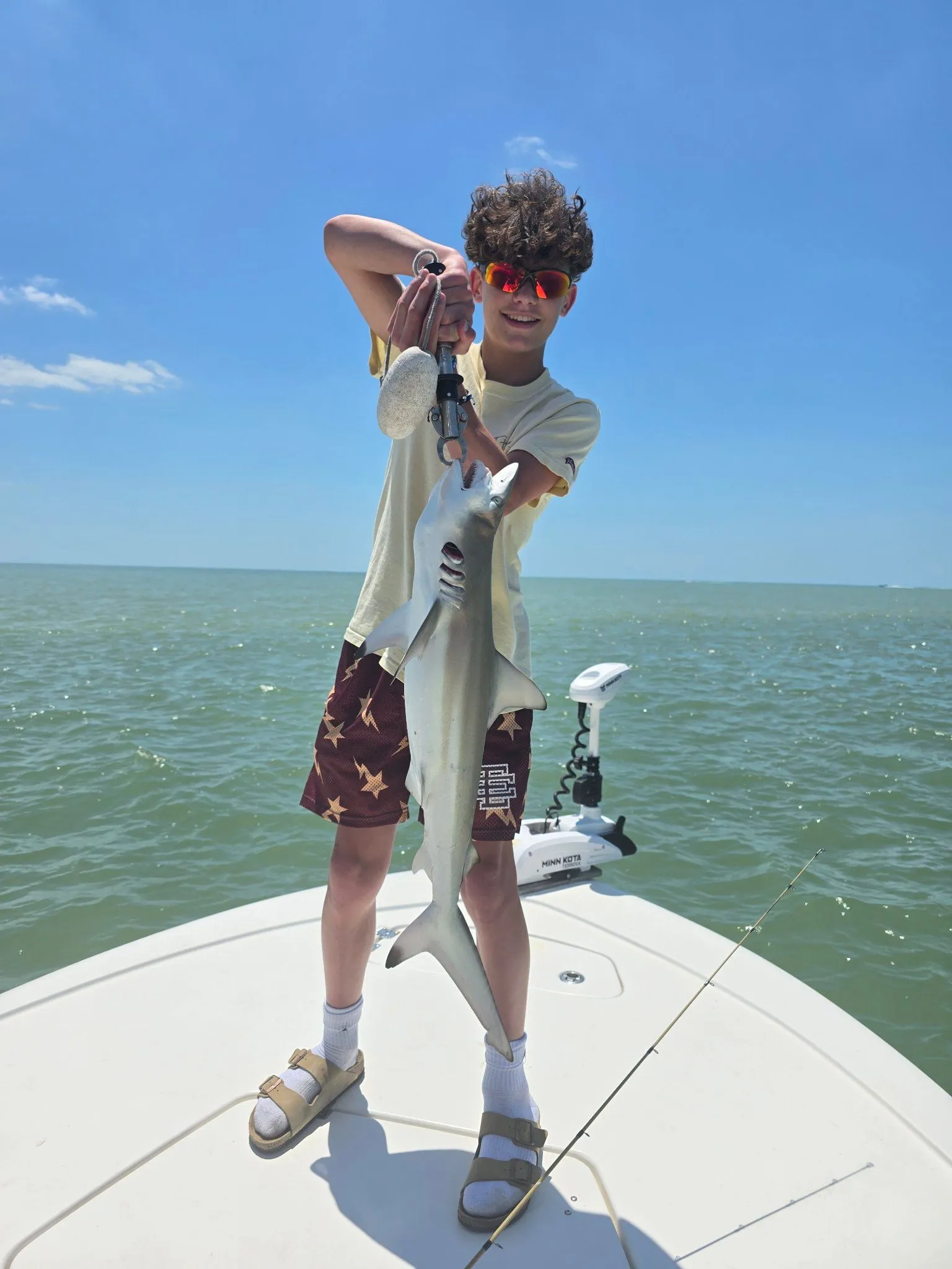 Atlantic Sharpnose Shark, 28 inches, fishing in FL
