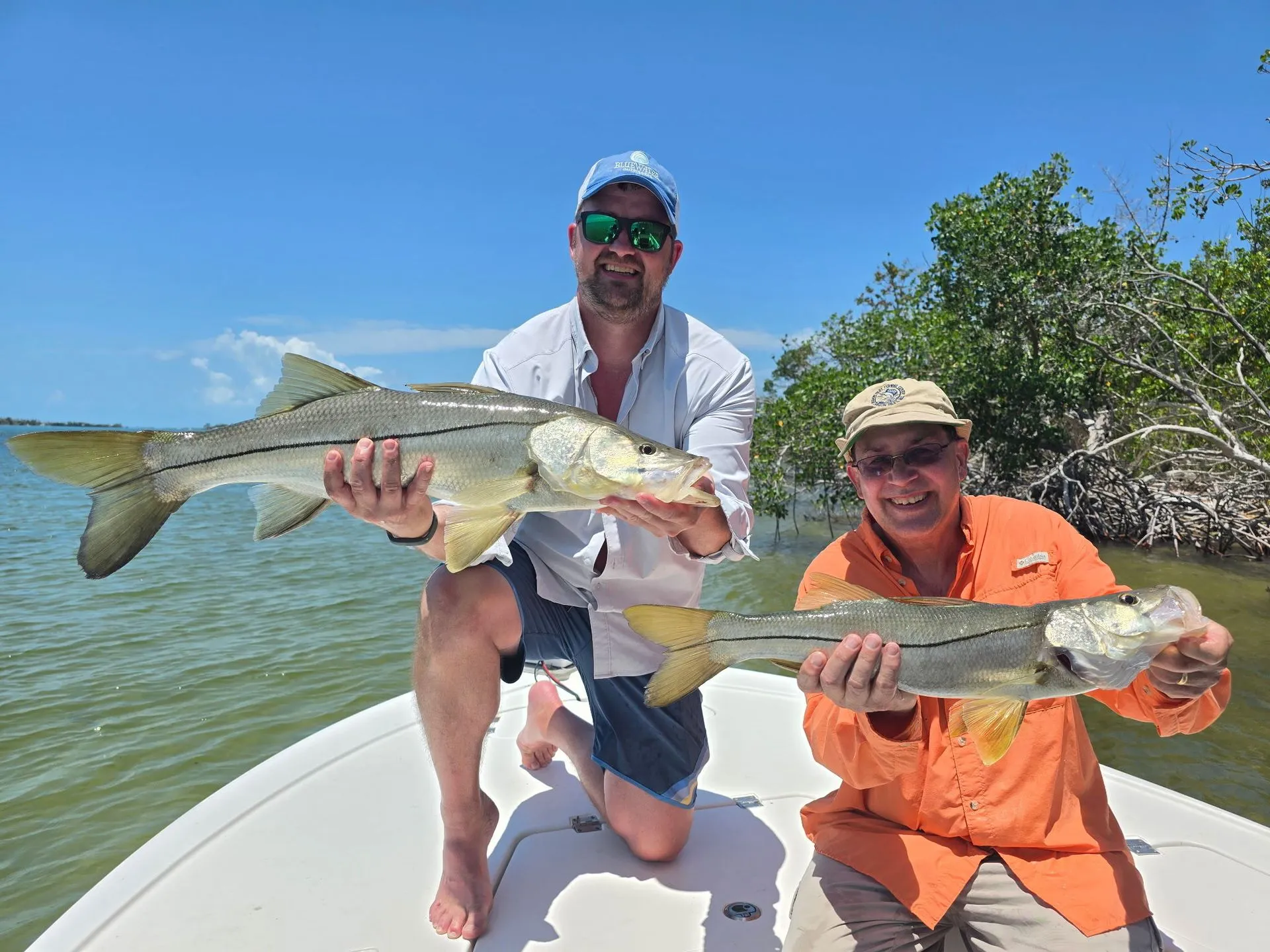 Two snook fish caught in Florida fishing