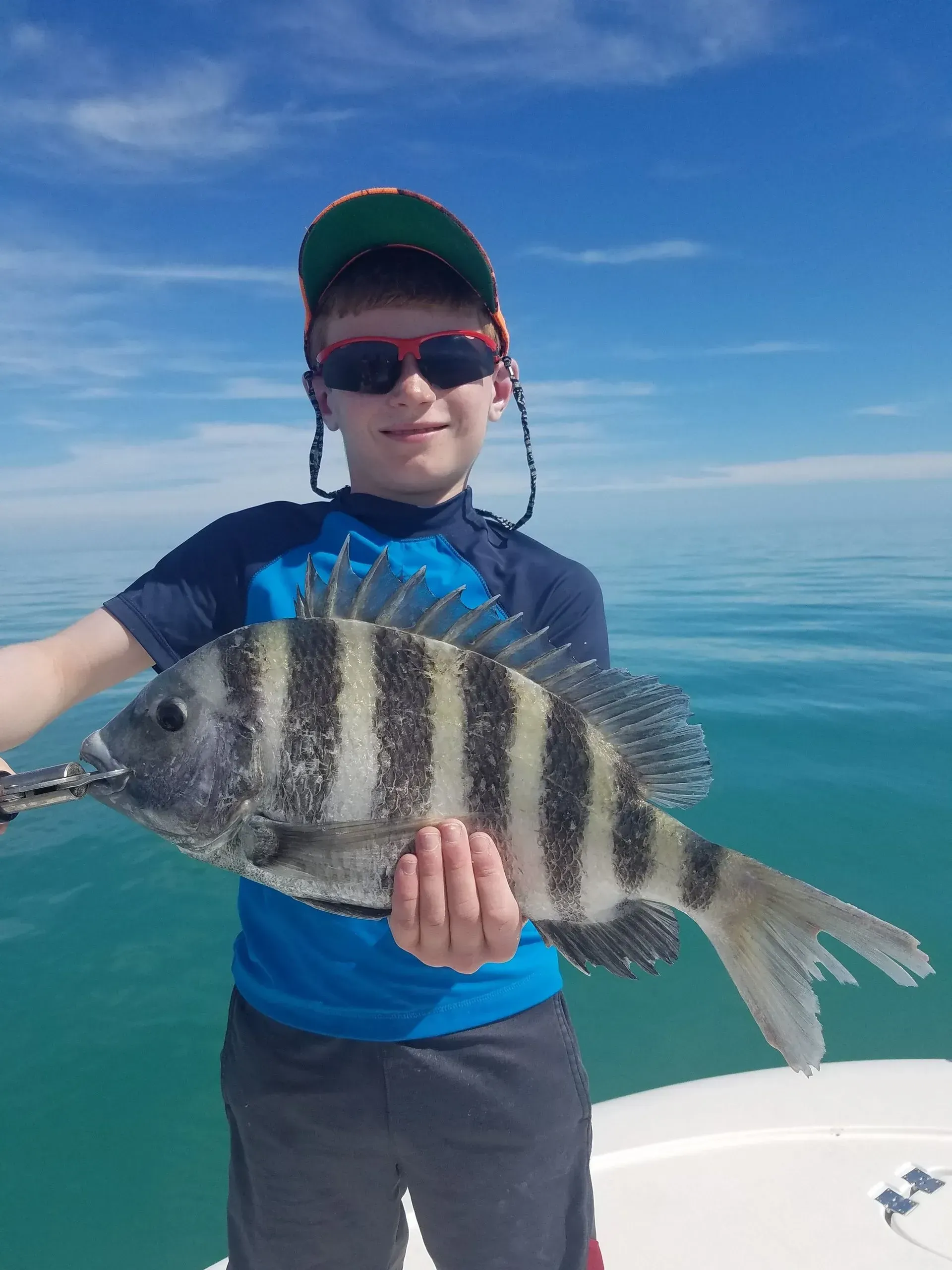 Sheepshead fish caught while fishing in FL