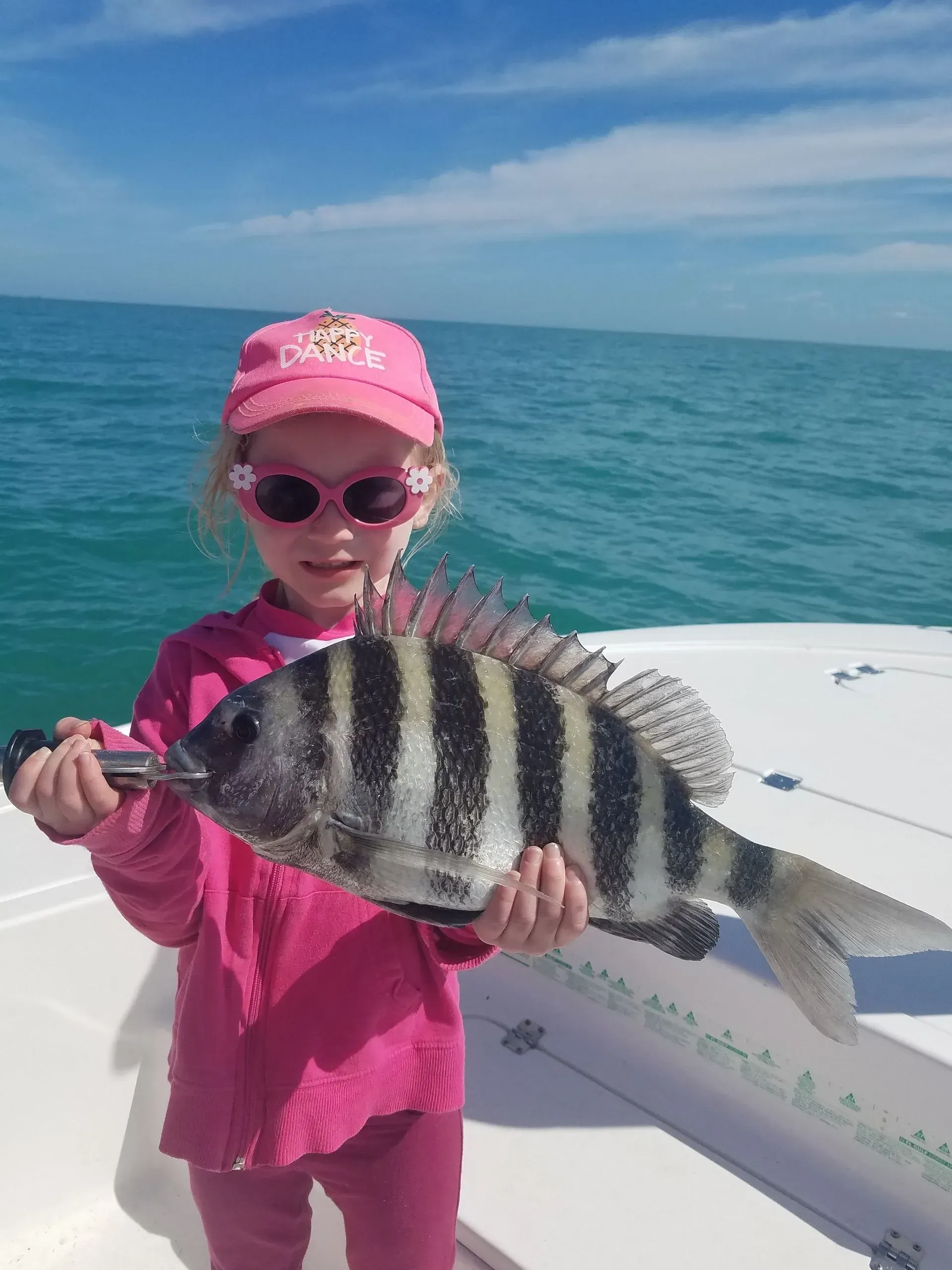 Sheepshead fish caught fishing in FL