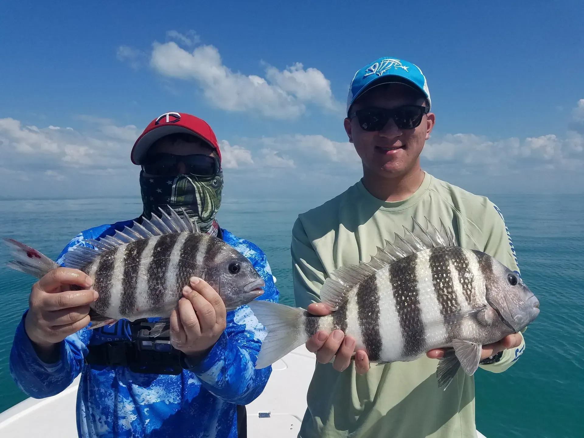 Two sheepshead fish caught while fishing in Fort Myers