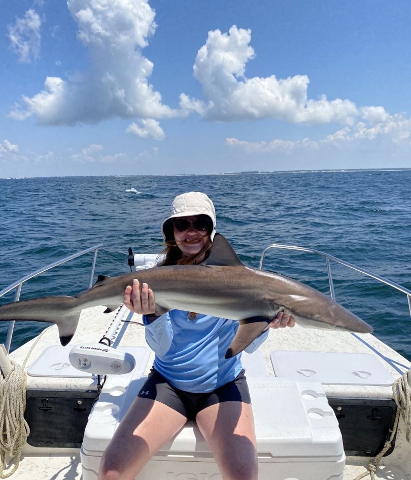 A fisherman holds a blacktip shark on Dauphin Island