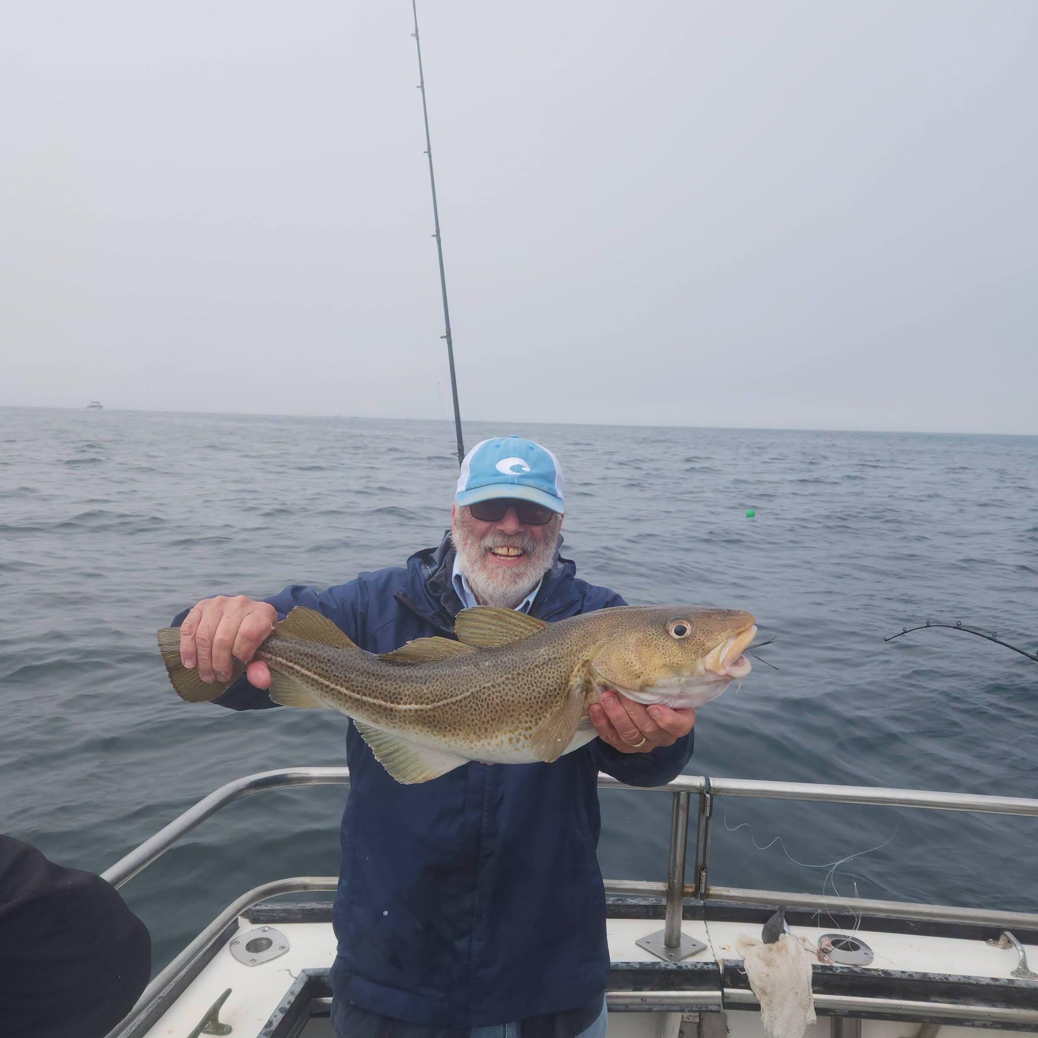 Atlantic cod caught while fishing in Rye NH waters