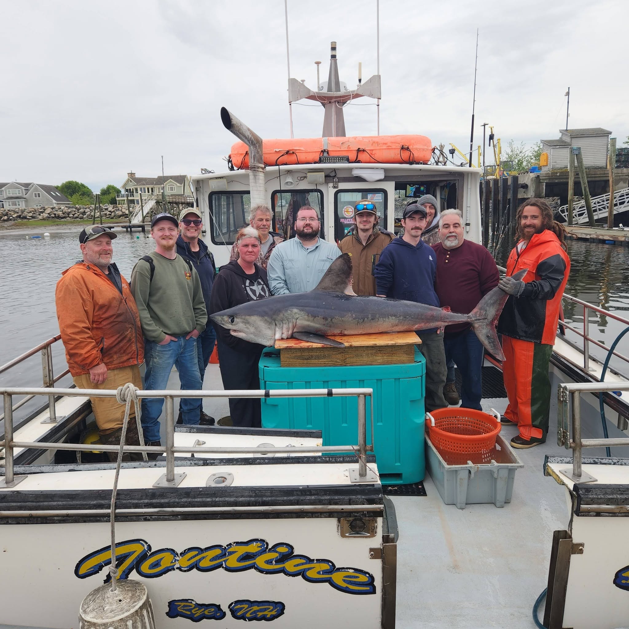 Fishing group poses with large great white shark catch on boat deck in Rye NH