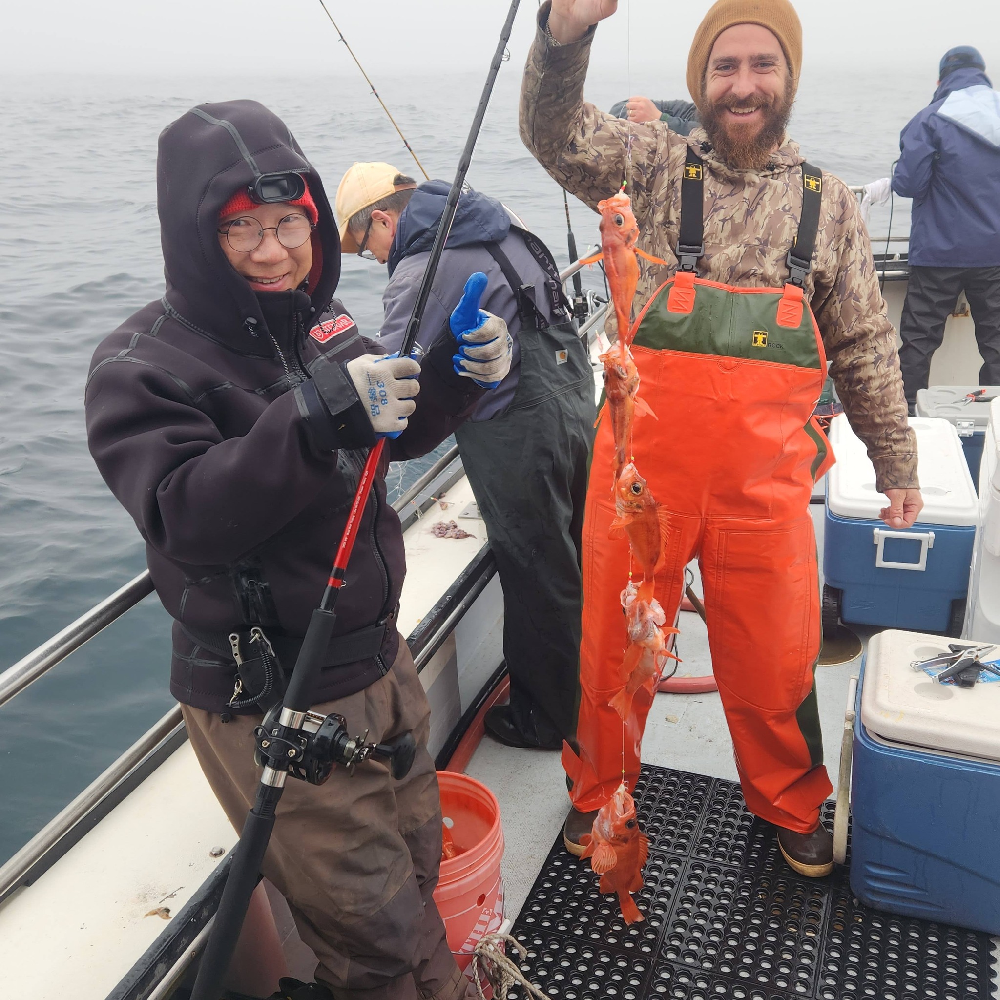 Fresh caught red rockfish displayed on fishing boat deck in Rye NH