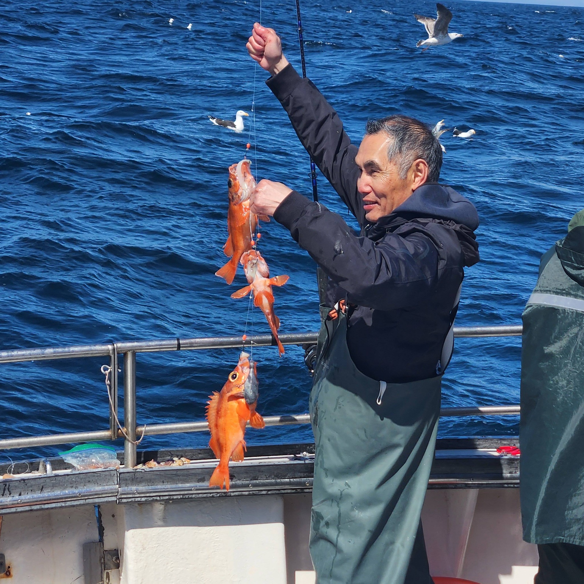 Angler holding freshly caught vermilion rockfish on fishing boat in Rye NH waters
