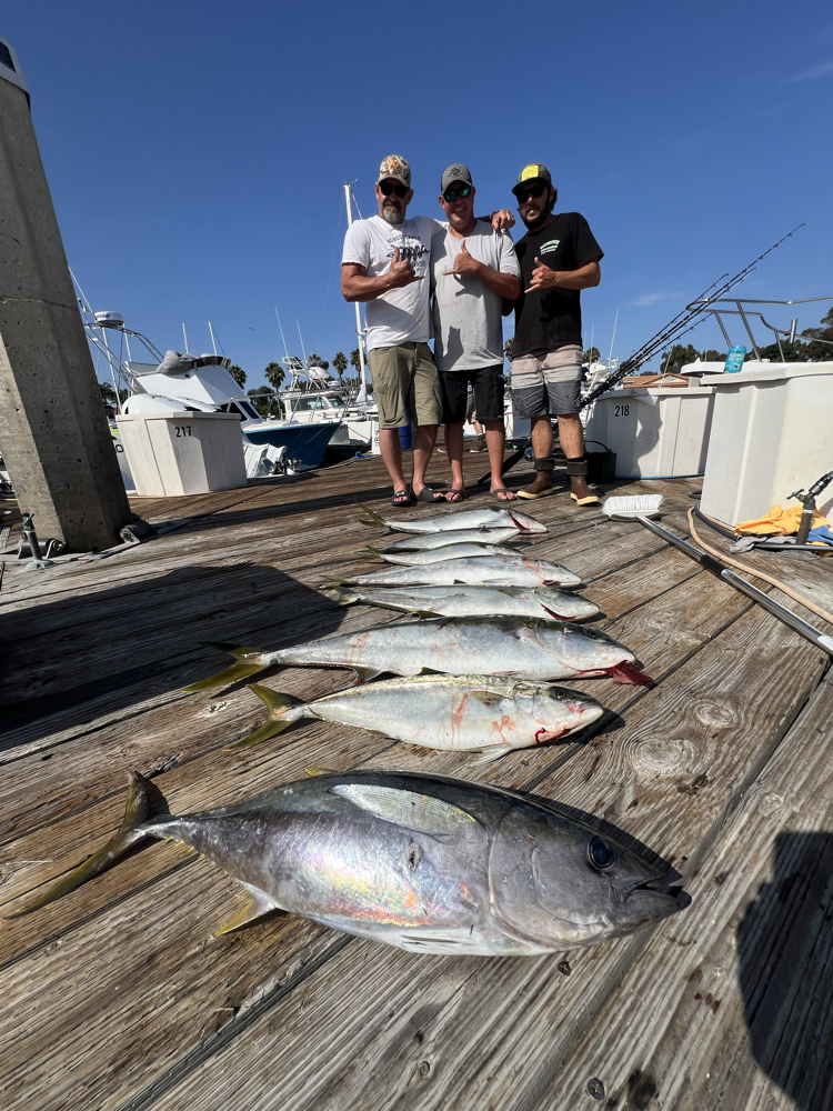 Two Blackfin Tuna, a big 89-inch catch, in San Diego