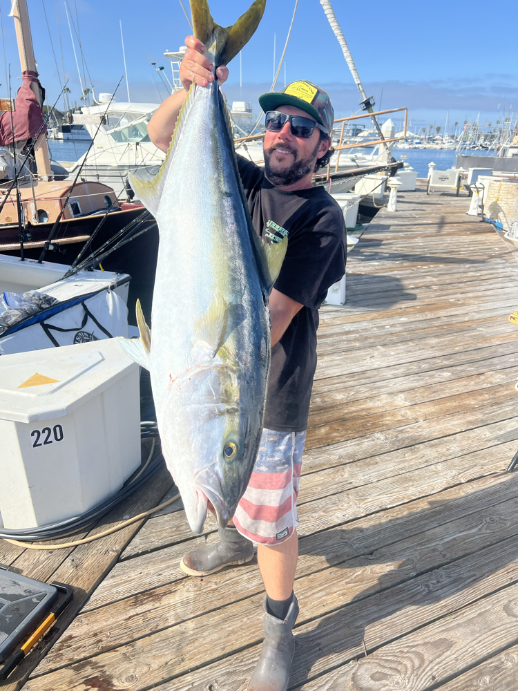 Photograph of a 33-inch Greater Amberjack fish caught while fishing in San Diego