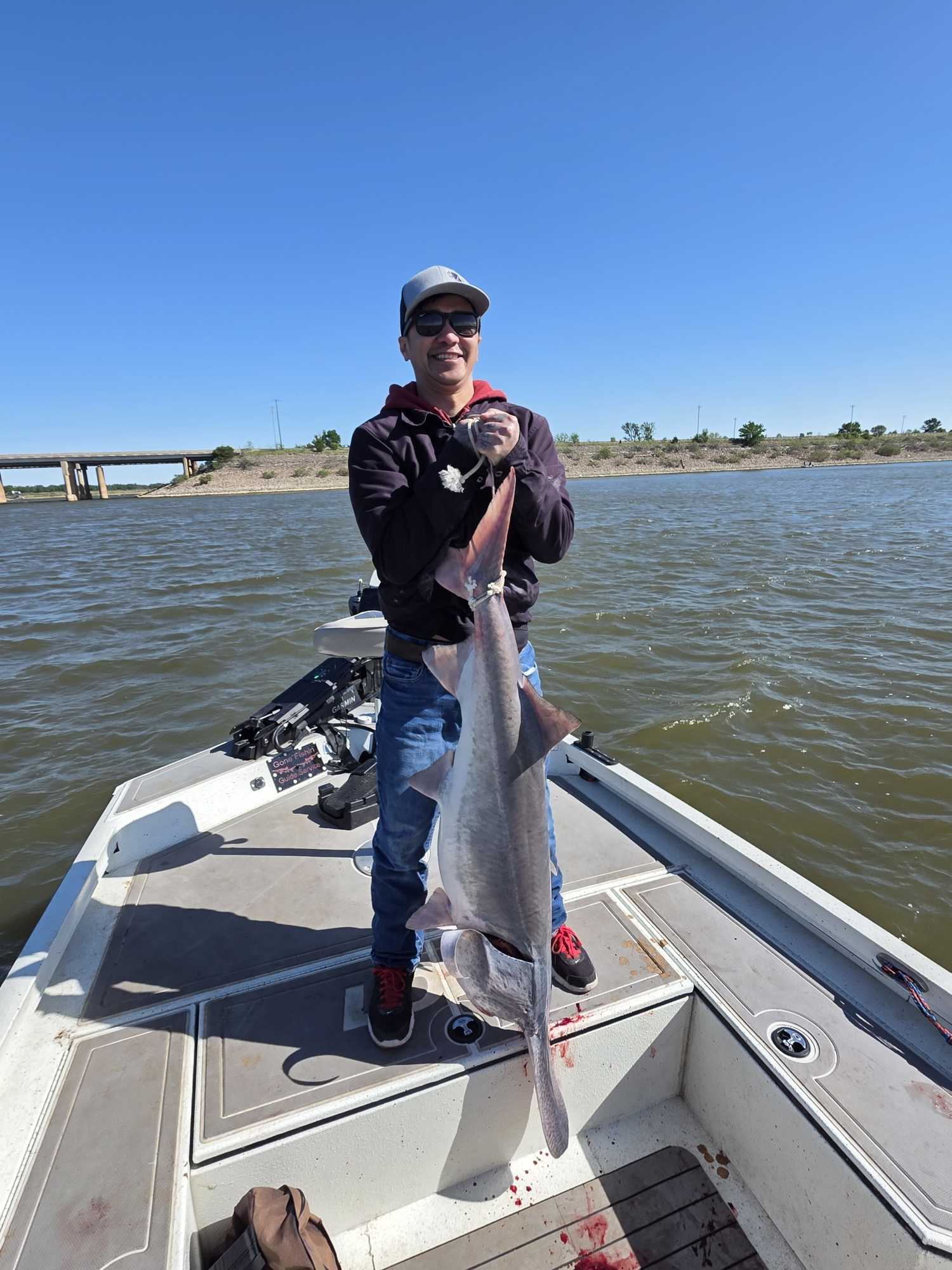 Large spoonbill catfish caught on fishing boat in Glencoe OK