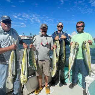 A group of 6 unidentified fish caught during a fishing trip in San Diego