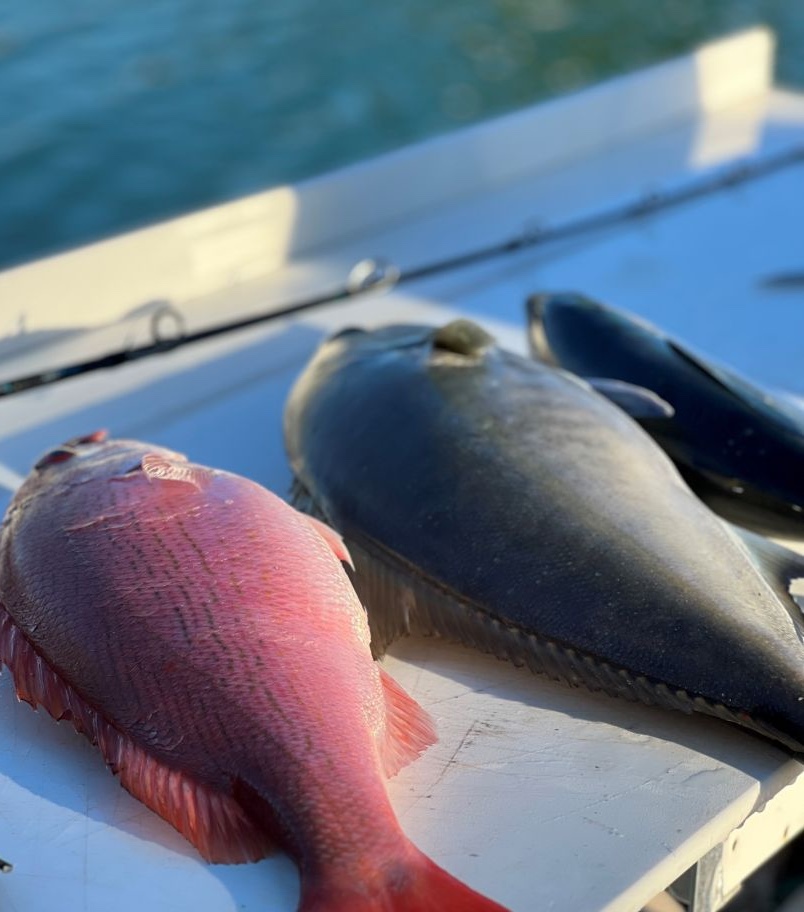 Fishing in the stunning location of Islamorada