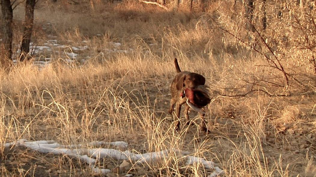 Stunning landscape in CO during hunting