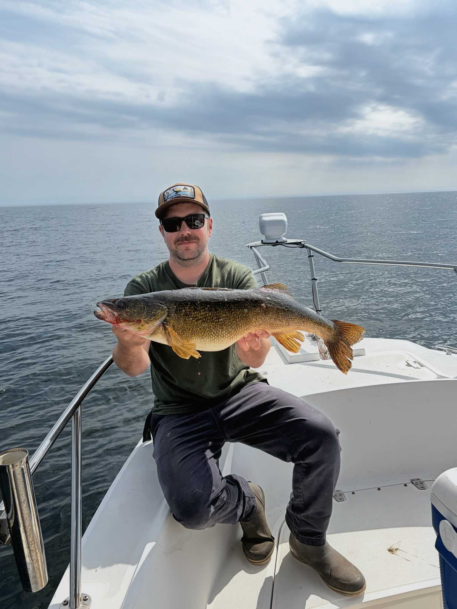 Walleye catch displayed on fishing boat in Henderson NY waters
