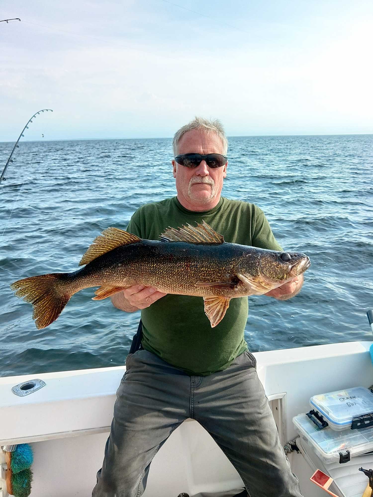 Angler holding caught walleye fish on fishing boat in Henderson NY waters