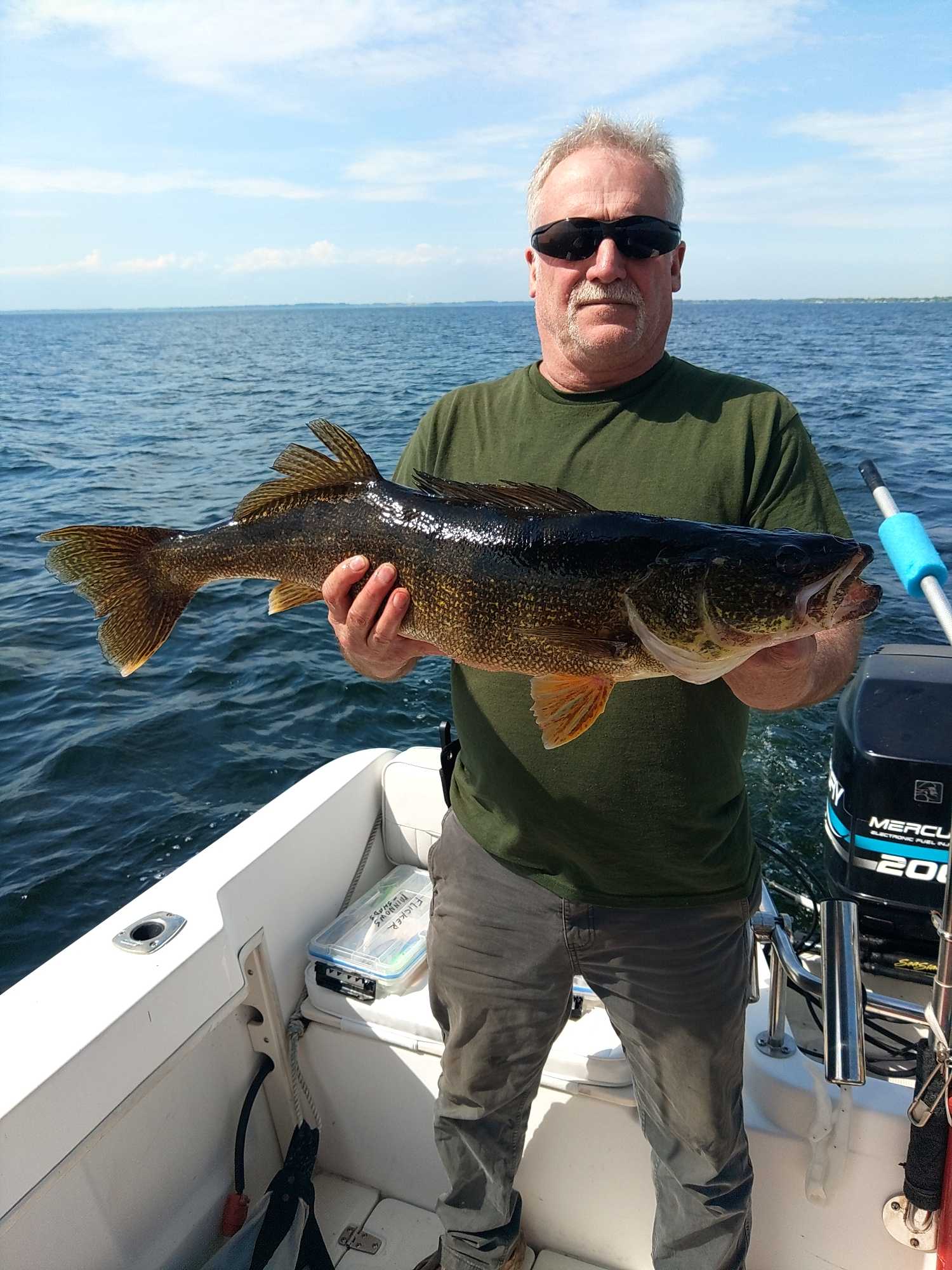 Walleye catch on fishing boat in Henderson NY waters