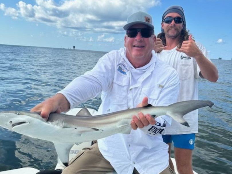 Atlantic Sharpnose Shark, 33-inch fish caught while fishing in LA