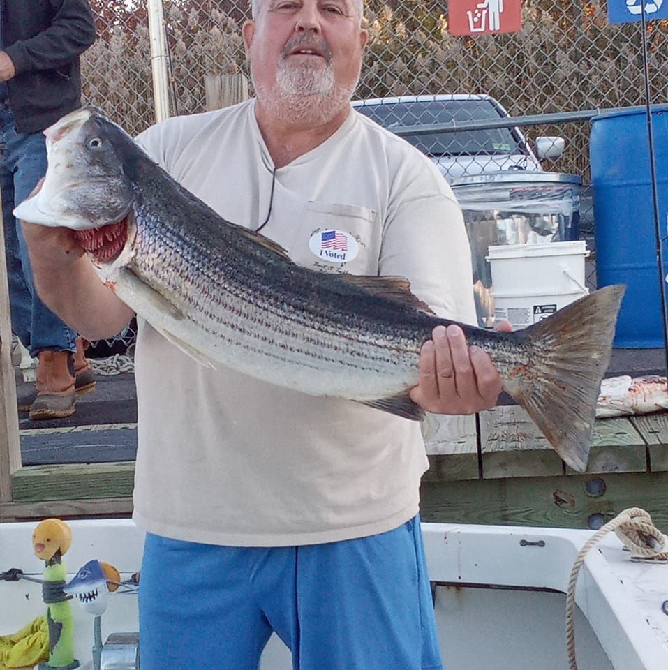 Large striped bass caught during fishing trip at Leonardo State Marina NJ