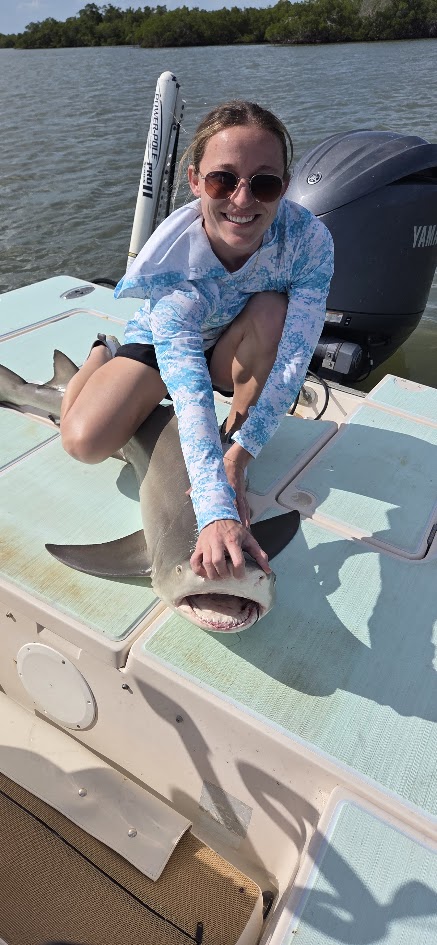 Shark caught during fishing charter in Naples FL waters with boat and mangrove coastline