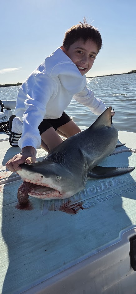Naples Florida shark fishing boat trip targeting bull sharks and hammerheads offshore