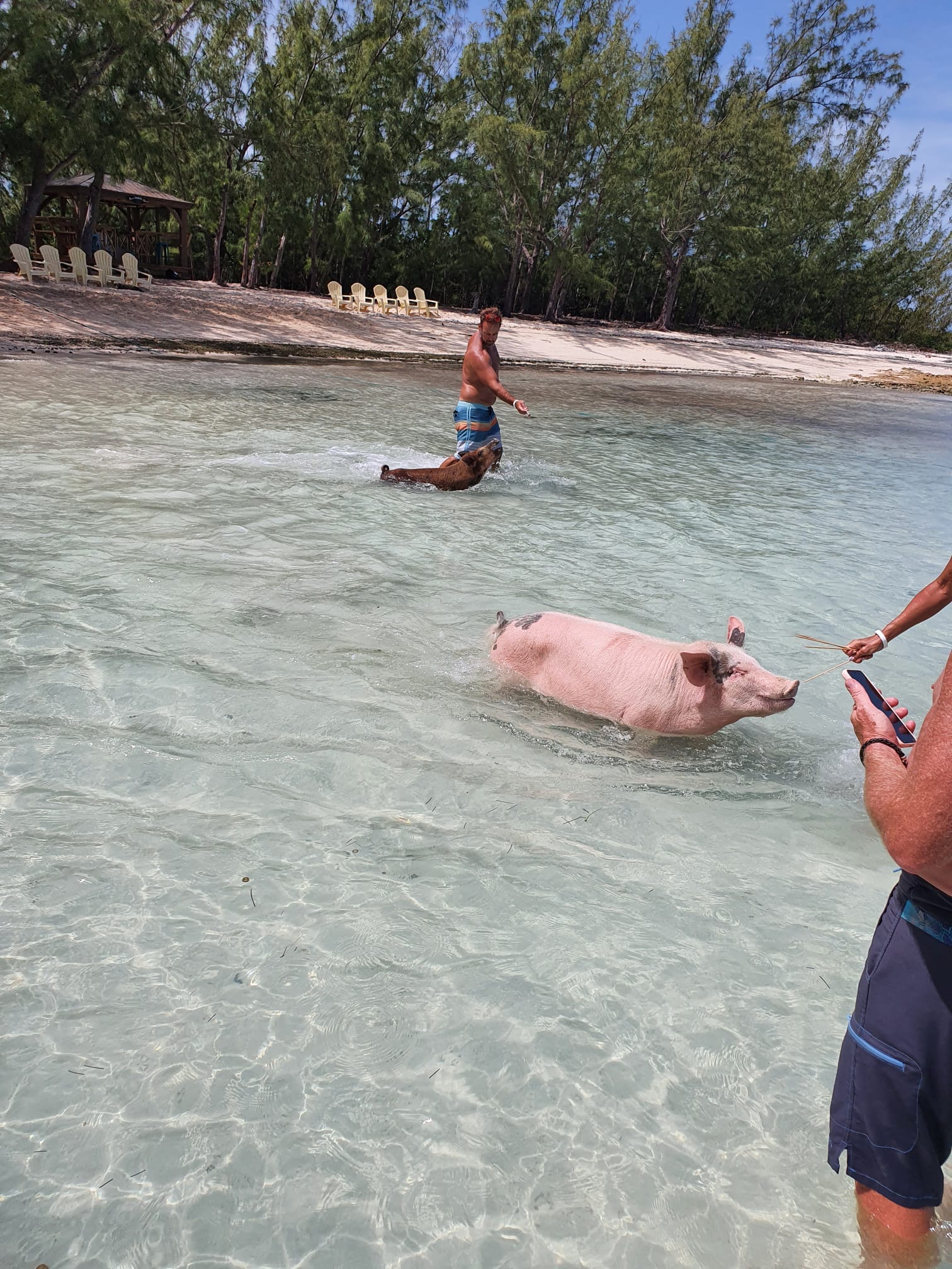Photo of a lone angler fishing in Nassau
