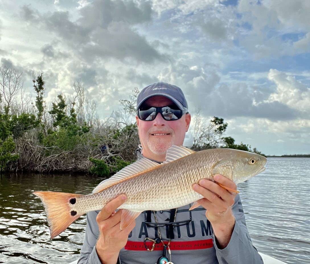Redfish caught in Cape Coral