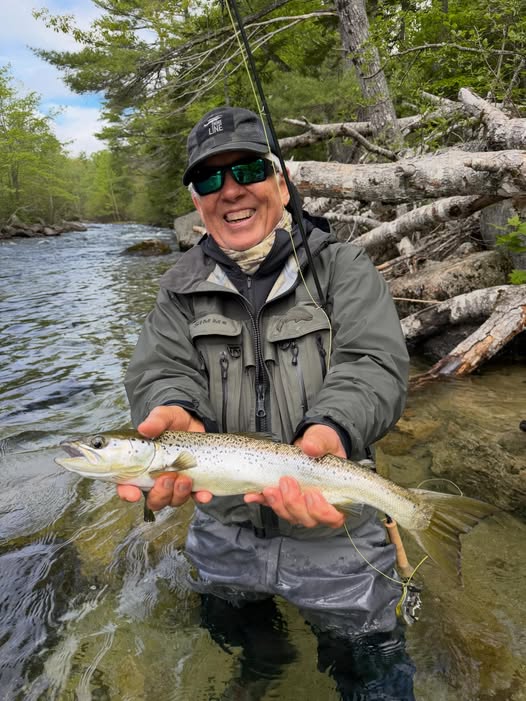 Atlantic salmon catch held over river in Poland ME