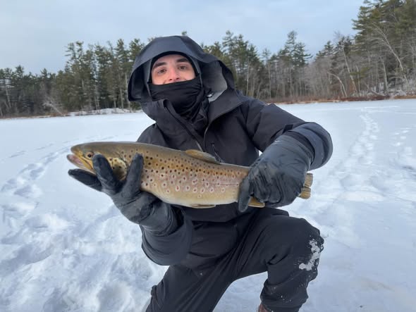 Brown trout caught during ice fishing in Poland, Maine